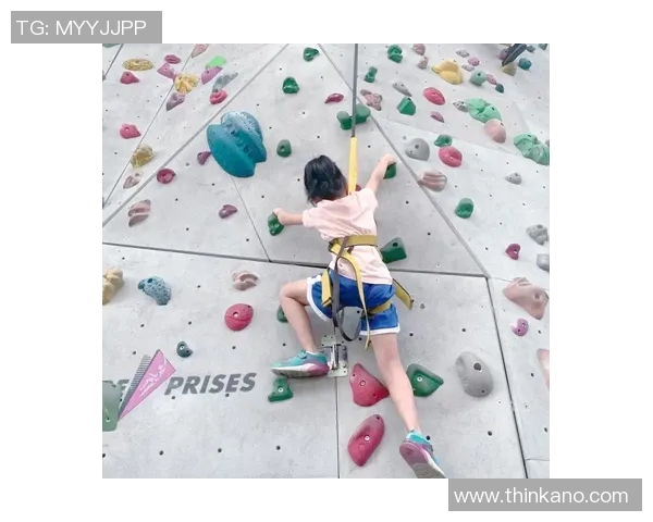 成都攀岩队速度对比深度解析与训练策略探讨