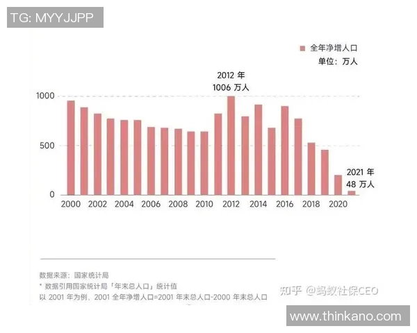 南京排球队实力飙升再创新高引发全国关注与期待